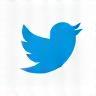 X (formerly Twitter) icon